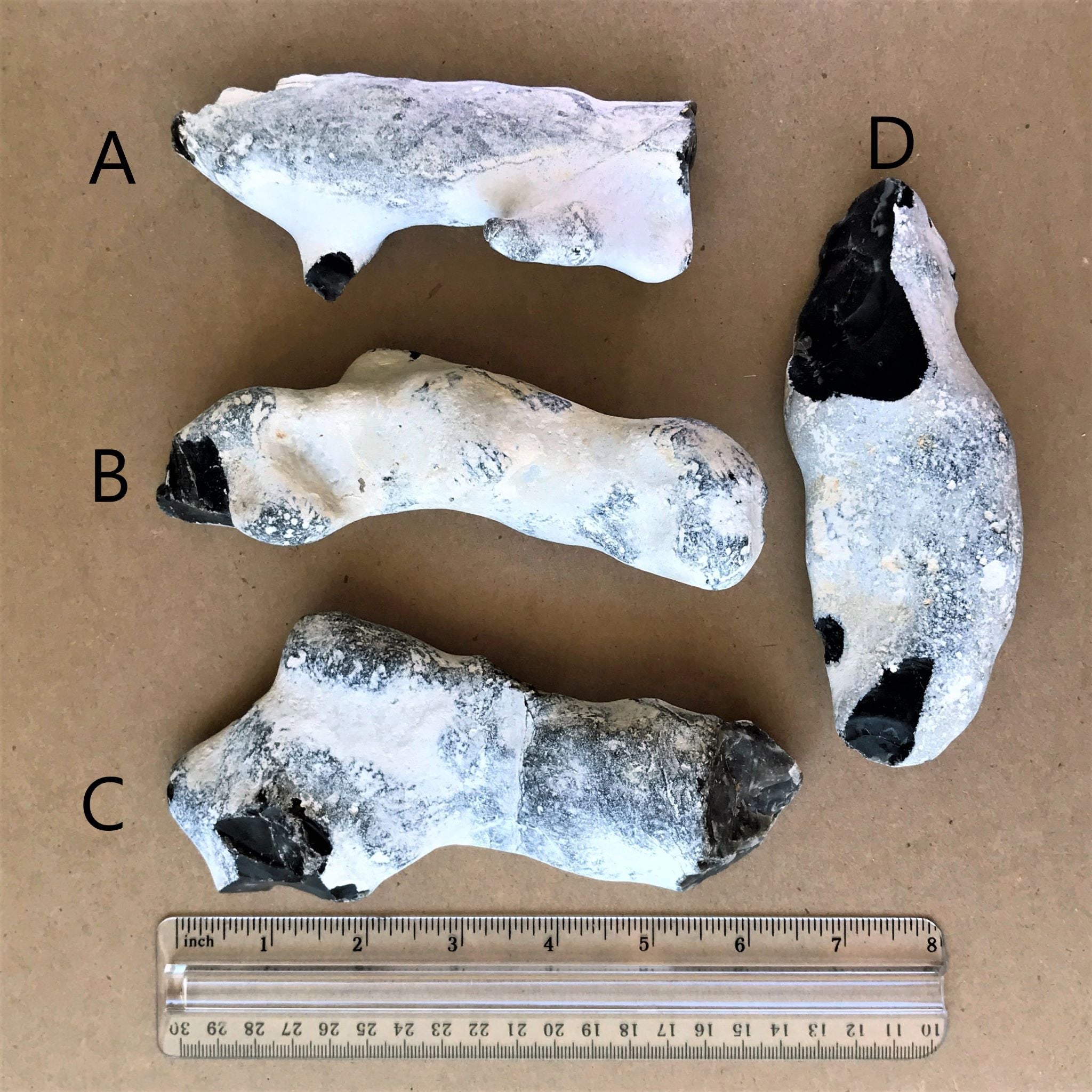 reverse of 4 English flint nodules