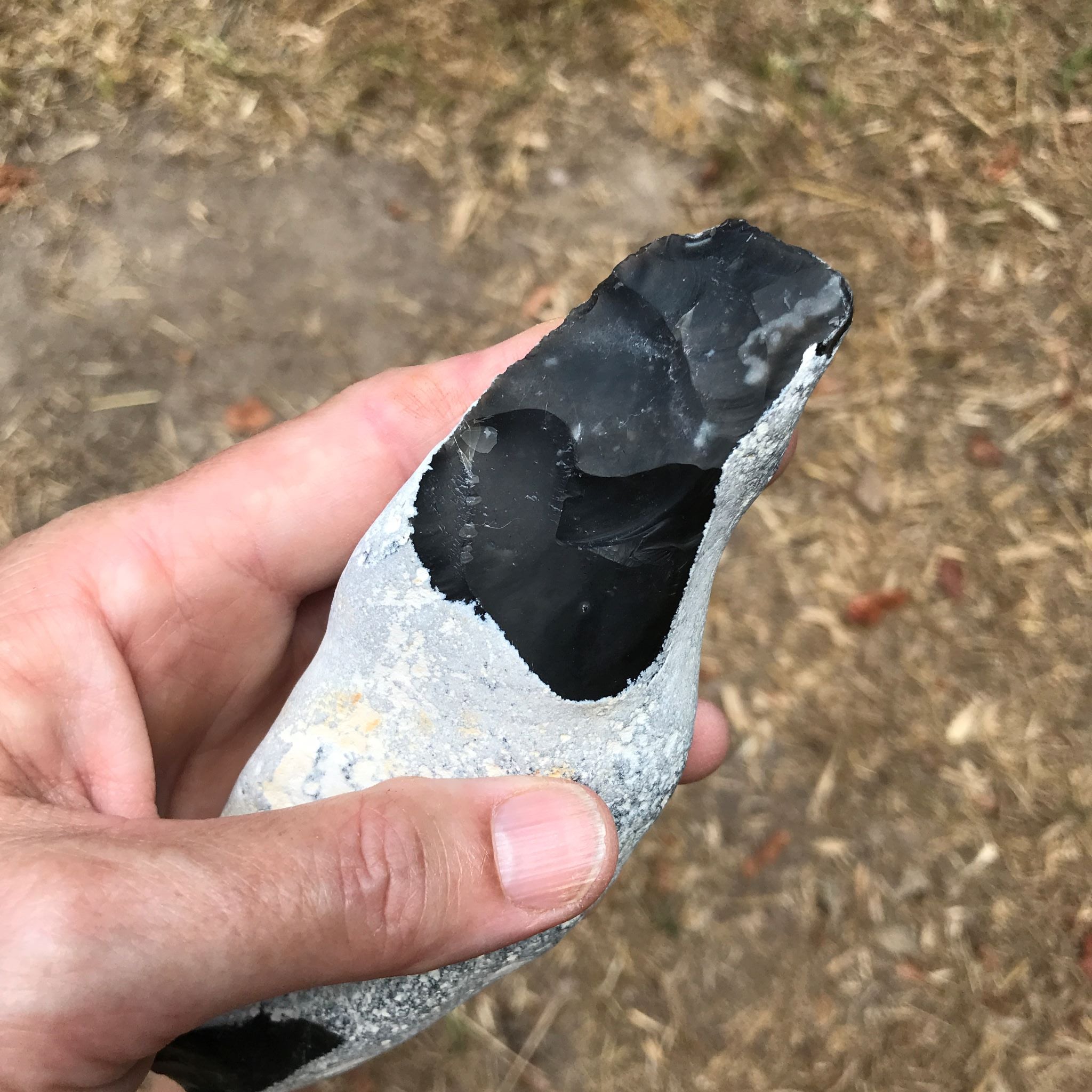 Close-up of flint nodule showing natural flint