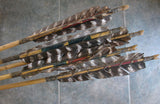 Close-up of Plains Style Arrow barred turkey feather fletching with sinew hafting