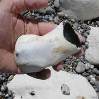 English flint nodule in hand at collection site