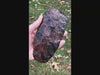 video of large mahogany obsidian axe blade in hand