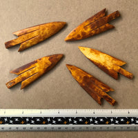 5 bone arrow points, stained brown reverse side