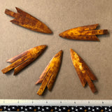 5 brown stained bone arrow points