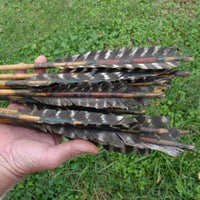 Close-up of Plains Style Arrows fletching